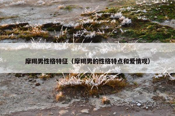 摩羯男性格特征（摩羯男的性格特点和爱情观）