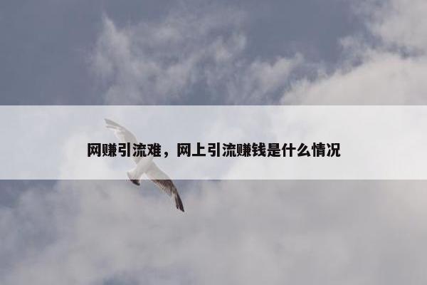 网赚引流难，网上引流赚钱是什么情况