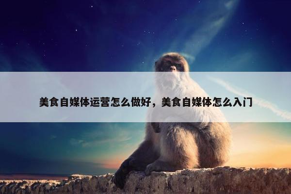美食自媒体运营怎么做好，美食自媒体怎么入门