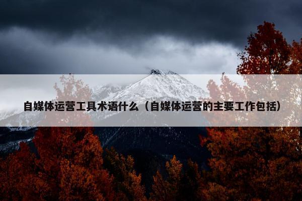 自媒体运营工具术语什么（自媒体运营的主要工作包括）