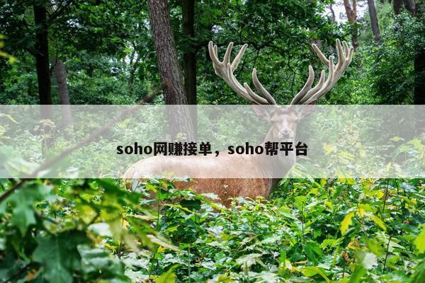 soho网赚接单，soho帮平台