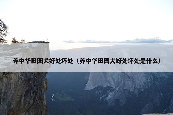 养中华田园犬好处坏处（养中华田园犬好处坏处是什么）