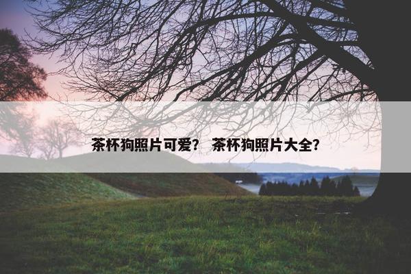 茶杯狗照片可爱？ 茶杯狗照片大全？