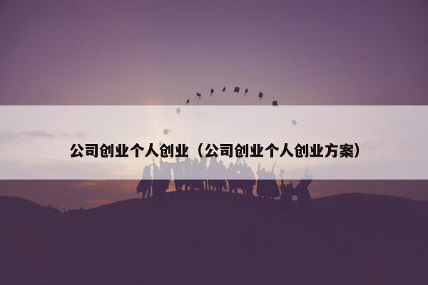 公司创业个人创业（公司创业个人创业方案）