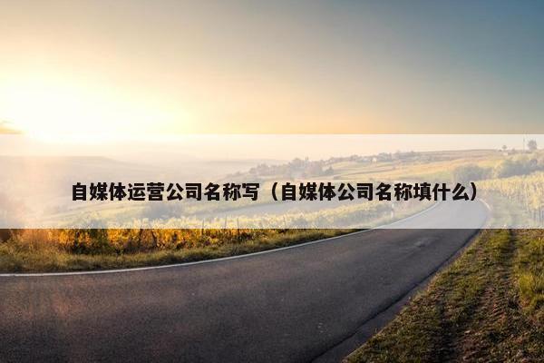 自媒体运营公司名称写（自媒体公司名称填什么）