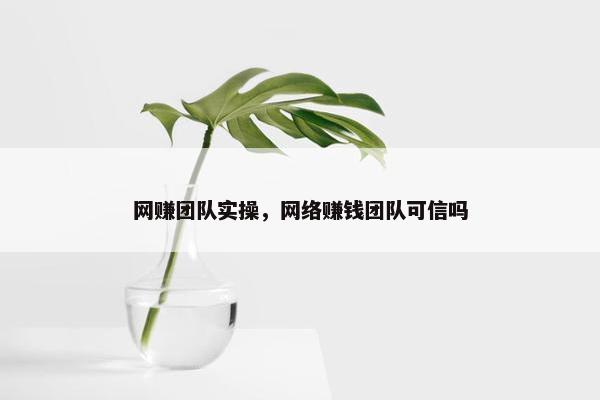 网赚团队实操，网络赚钱团队可信吗