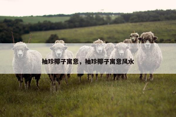袖珍椰子寓意，袖珍椰子寓意风水
