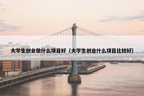 大学生创业做什么项目好（大学生创业什么项目比较好）