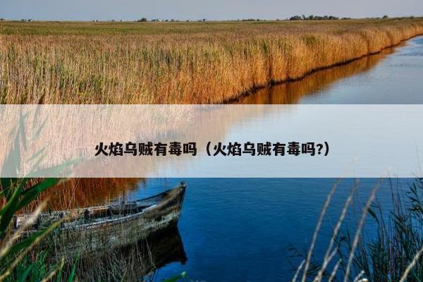 火焰乌贼有毒吗（火焰乌贼有毒吗?）