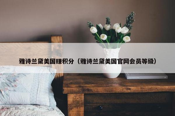 雅诗兰黛美国赚积分（雅诗兰黛美国官网会员等级）