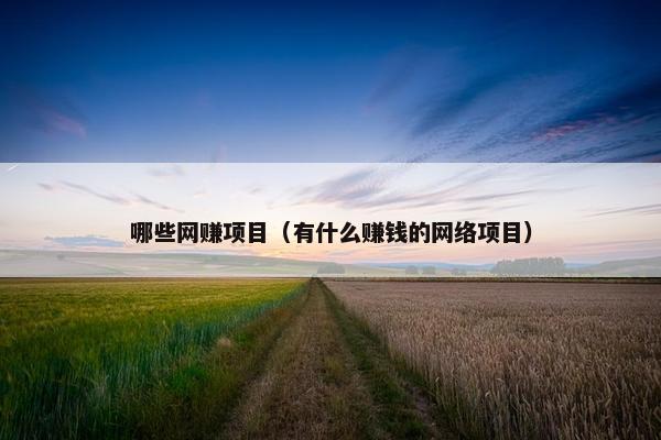 哪些网赚项目（有什么赚钱的网络项目）