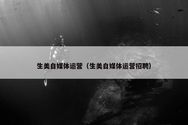 生美自媒体运营（生美自媒体运营招聘）