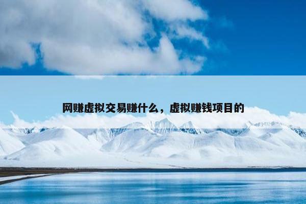 网赚虚拟交易赚什么，虚拟赚钱项目的