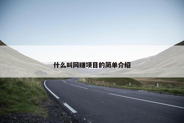 什么叫网赚项目的简单介绍