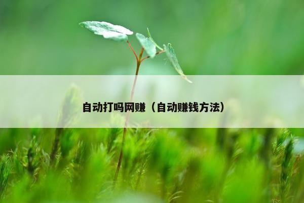 自动打吗网赚（自动赚钱方法）