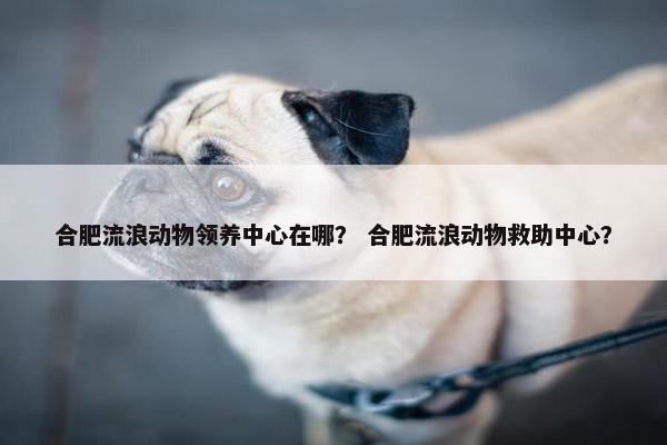 合肥流浪动物领养中心在哪？ 合肥流浪动物救助中心？