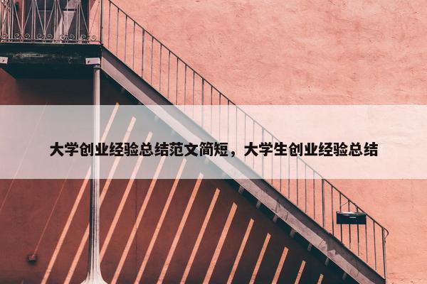 大学创业经验总结范文简短，大学生创业经验总结