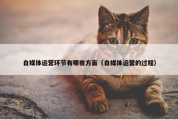 自媒体运营环节有哪些方面（自媒体运营的过程）