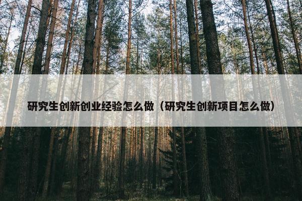 研究生创新创业经验怎么做（研究生创新项目怎么做）