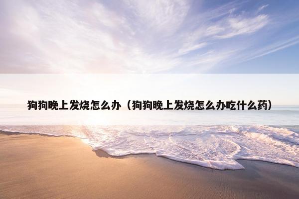 狗狗晚上发烧怎么办（狗狗晚上发烧怎么办吃什么药）