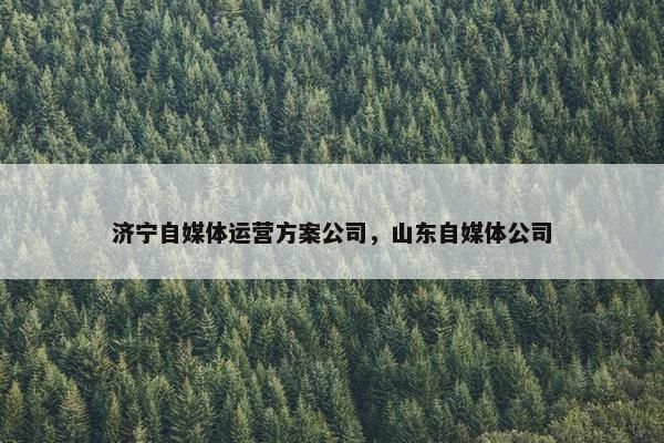 济宁自媒体运营方案公司，山东自媒体公司