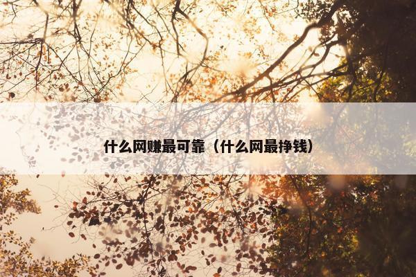 什么网赚最可靠（什么网最挣钱）