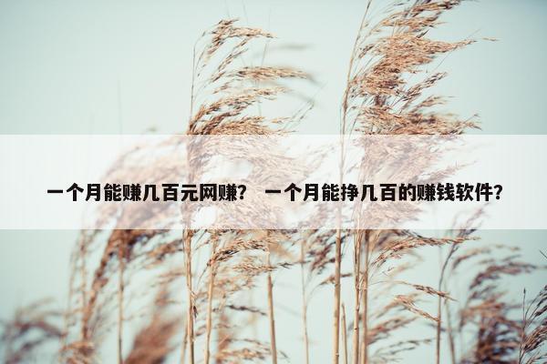 一个月能赚几百元网赚？ 一个月能挣几百的赚钱软件？