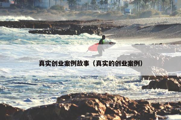 真实创业案例故事（真实的创业案例）