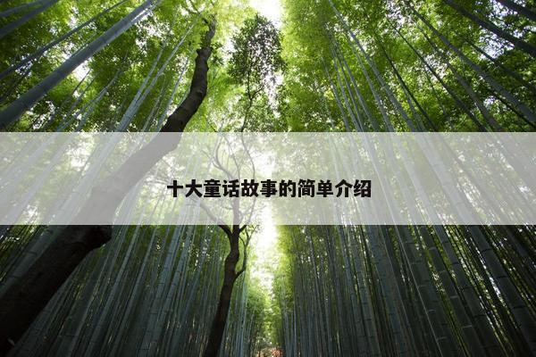 十大童话故事的简单介绍