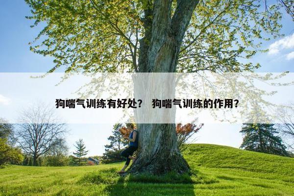 狗喘气训练有好处？ 狗喘气训练的作用？