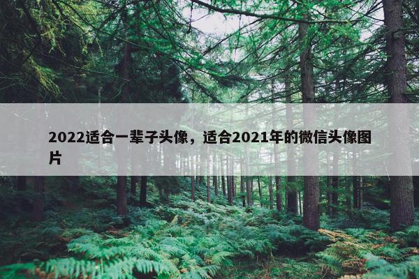 2022适合一辈子头像，适合2021年的微信头像图片