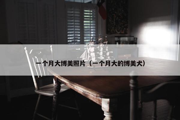 一个月大博美照片（一个月大的博美犬）