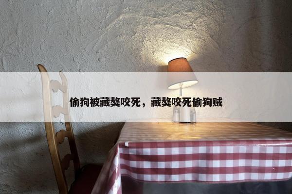 偷狗被藏獒咬死，藏獒咬死偷狗贼