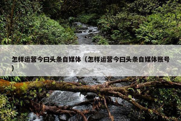 怎样运营今曰头条自媒体（怎样运营今曰头条自媒体账号）