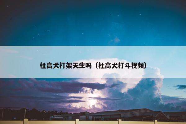 杜高犬打架天生吗（杜高犬打斗视频）