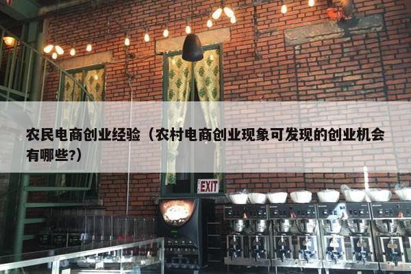 农民电商创业经验（农村电商创业现象可发现的创业机会有哪些?）