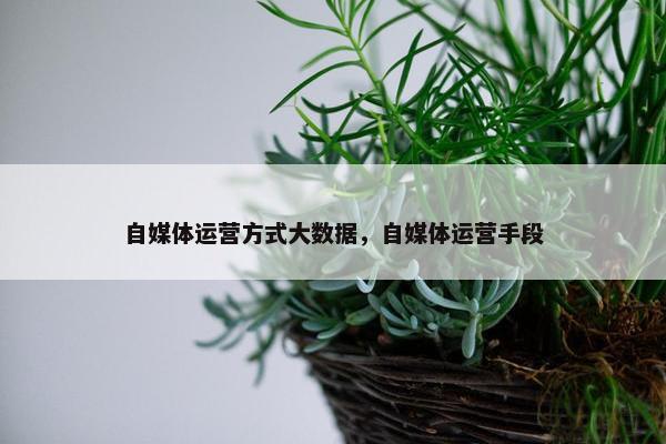 自媒体运营方式大数据，自媒体运营手段