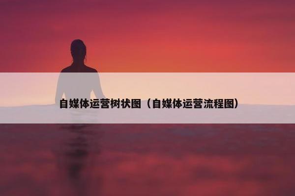 自媒体运营树状图（自媒体运营流程图）