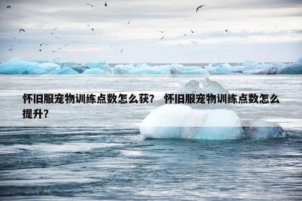 怀旧服宠物训练点数怎么获？ 怀旧服宠物训练点数怎么提升？