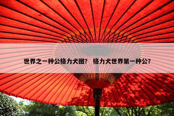 世界之一种公格力犬图？ 格力犬世界第一种公？
