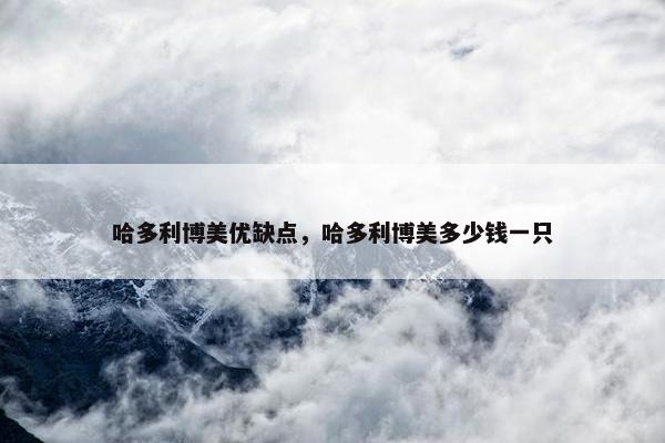哈多利博美优缺点，哈多利博美多少钱一只