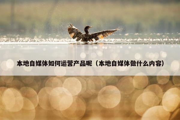 本地自媒体如何运营产品呢（本地自媒体做什么内容）