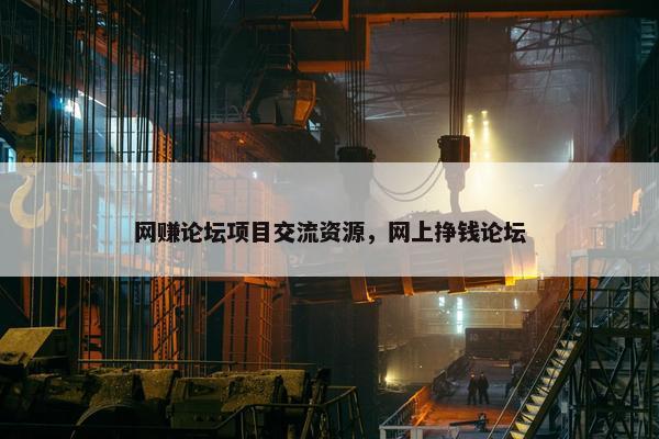网赚论坛项目交流资源，网上挣钱论坛