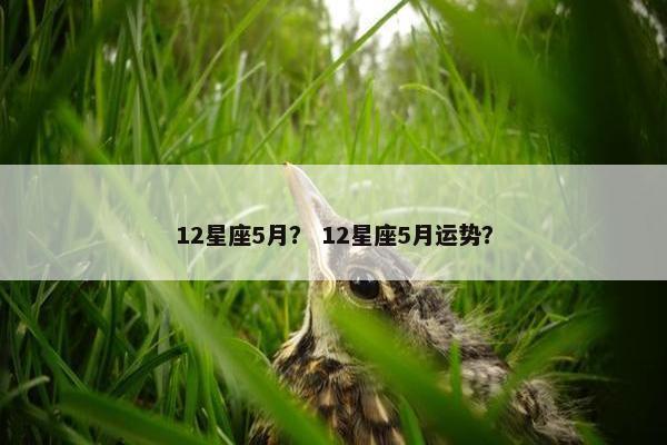 12星座5月？ 12星座5月运势？