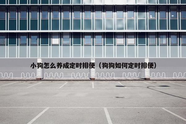 小狗怎么养成定时排便（狗狗如何定时排便）