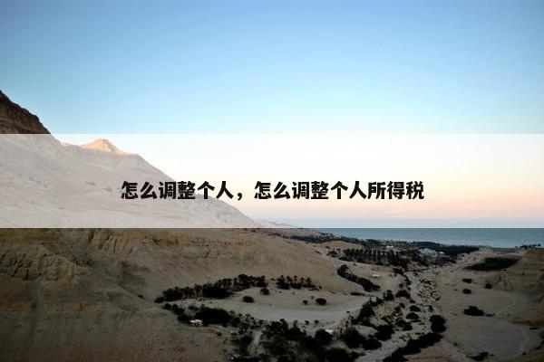 怎么调整个人，怎么调整个人所得税