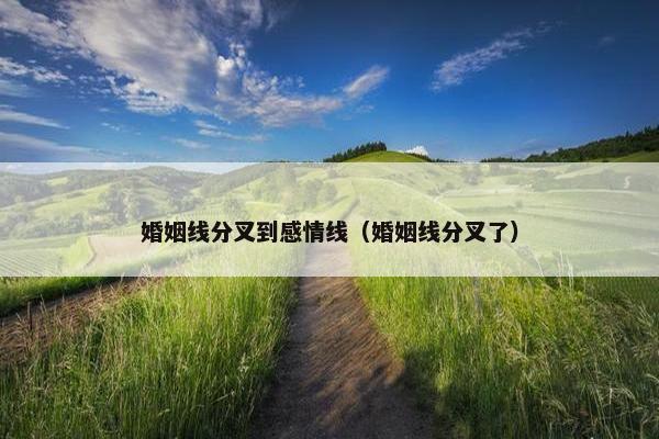 婚姻线分叉到感情线（婚姻线分叉了）