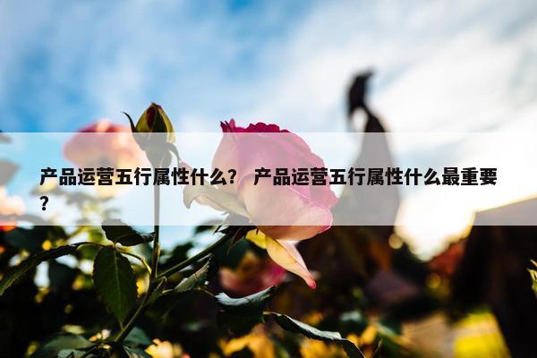 产品运营五行属性什么？ 产品运营五行属性什么最重要？