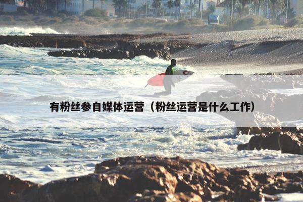 有粉丝参自媒体运营（粉丝运营是什么工作）