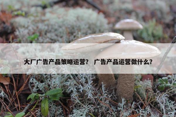 大厂广告产品策略运营？ 广告产品运营做什么？